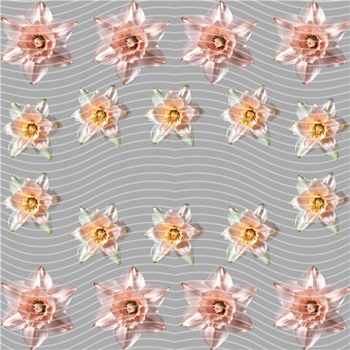holographic Big- 1525